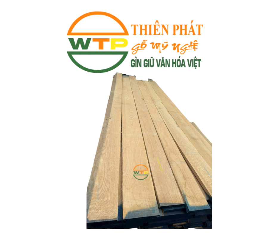 Gỗ sồi tấm tại Gỗ Thiên Phát chủ yếu được nhập khẩu từ các vùng trồng gỗ bền vững tại Bắc Mỹ và Châu Âu